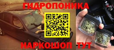 МДПВ Кингисепп