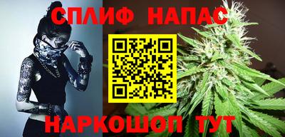МДПВ Кингисепп