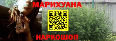 МДПВ Кингисепп