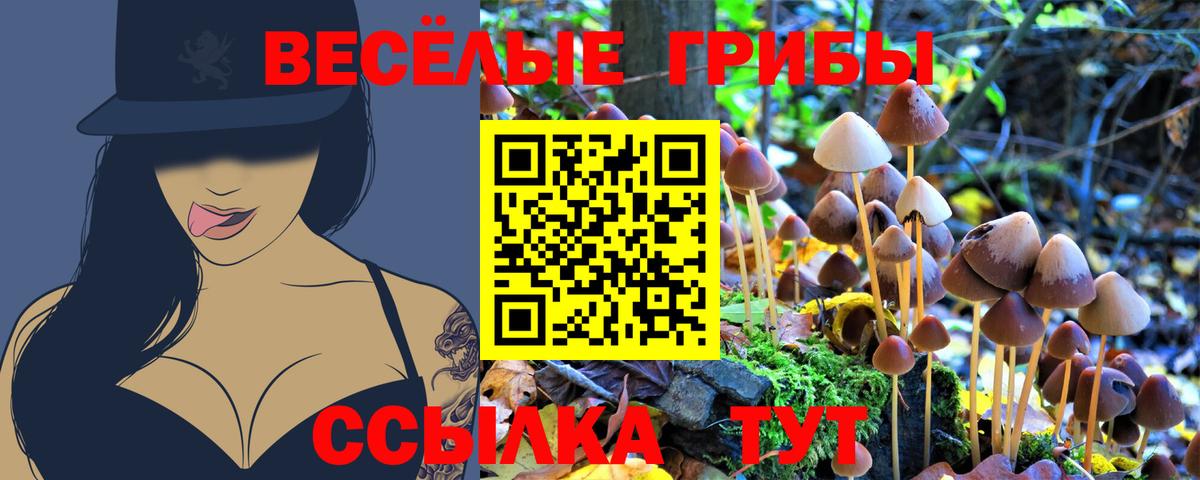 Псилоцибиновые грибы ЛСД Красноярск