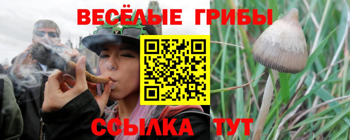 Галлюциногенные грибы мицелий  Вход с VPN  закладка  Галлюциногенные грибы GOLDEN TEACHER  Красноярск 